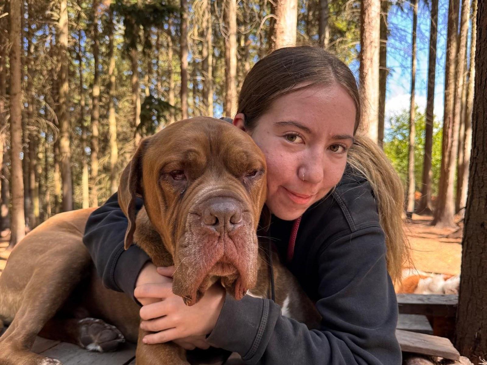 Genera vs Pet Sitter Plus: which suits a UK dog daycare?