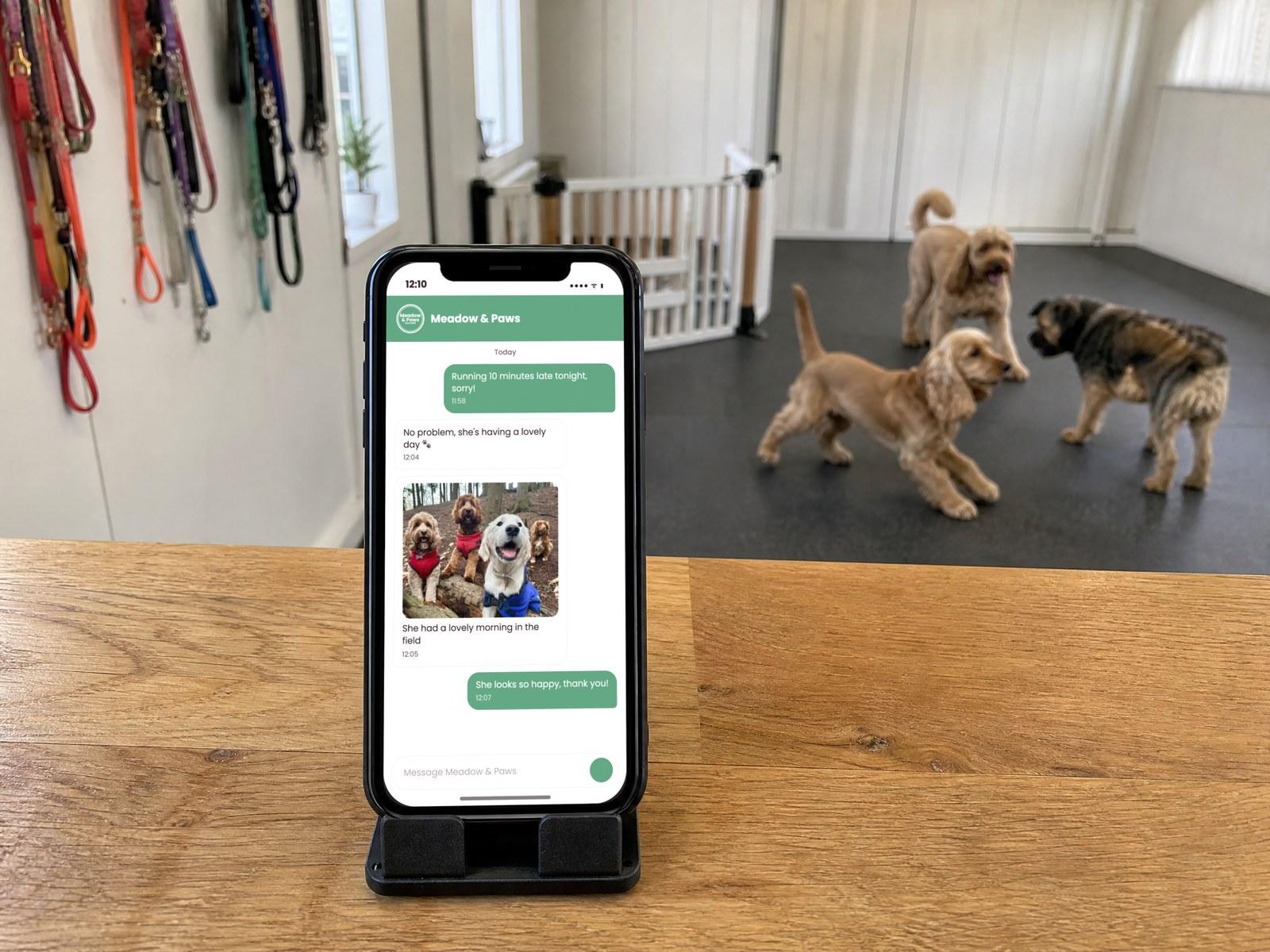 Genera vs Collar: plan limits, messaging and Direct Debit compared