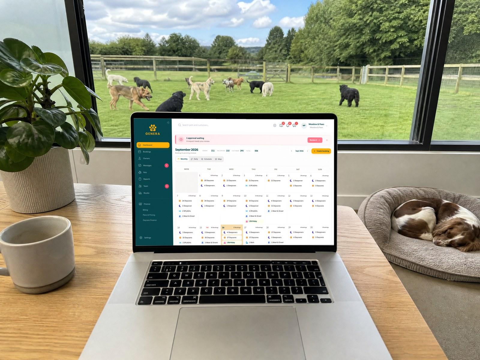 Dog daycare software in the UK: nine systems compared for 2026