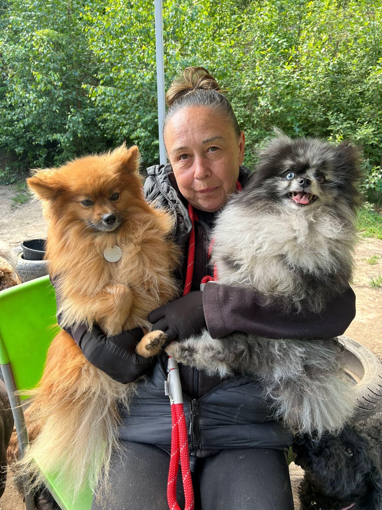 Dog Daycare Software Pricing: What Does It Actually Cost in 2025?